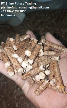 Premium Biomass Wood Pellet | High Calorific Value | Low Moisture for Industrial Boiler Use from PT SHINE FUTURE TRADING Premium Biomass Wood Pellet | High Calorific Value | Low Moisture for Industrial Boiler Use – product photo, Mixed Wood Pellets products found from trusted suppliers, wholesalers, manufacturers & exporters Listing