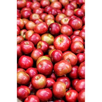 2022 Bulk Apples Whole Sale Fresh Red Fuji Apples Specification Wholesale Fresh Red Fuji Apple Fruit +27739729209 from KOFONS BUSINESS SOLUTIONS PTY LTD 2022 Bulk Apples Whole Sale Fresh Red Fuji Apples Specification Wholesale Fresh Red Fuji Apple Fruit +27739729209 - KOFONS BUSINESS SOLUTIONS PTY LTD - South Africa