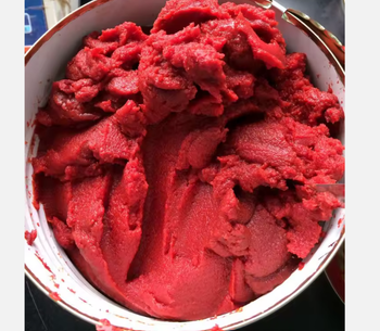 Canned Tomato Paste Grade A Packaging - TRADE NEPAL LLC - United States