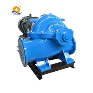 Double-Entry Centrifugal Pumps and Electric Pumping Units - Shijiazhuang An Pump Machinery Co., Ltd. - China