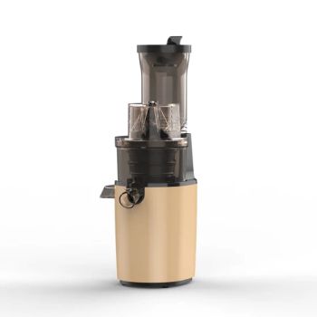 Big Mouth Cold Press Fruit Juicer Machines Apple Orange Juicer Vegetable and Fruit Multifunctional Slow Juicer - Zhongshan Huiren Electric Appliance Co., Ltd. - China