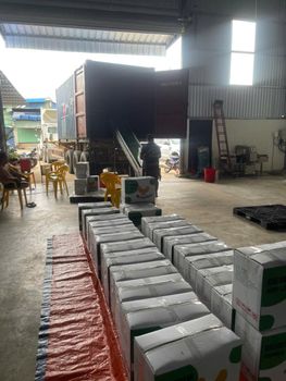 Cashew Nut Kernel W240, W320, W450 - MT Export - Vietnam