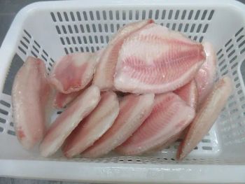 Tilapia Fish Fillet Frozen Tilapia Fillet From China Wholesale Price - Xiamen Yangzhen Import and Export Co., Ltd - China