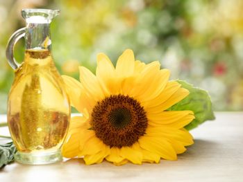 Brazilian SUNFLOWER Oil Premium Quality for Global Markets - Verità Global Business - Brazil