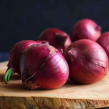 Premium Fresh Onion Large Juicy Bulbs Ideal For Food Processing And Wholesale Supply - THE GREEN INTERNATIONAL LIMITED - Tanzania