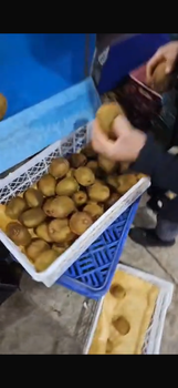 Kiwi - Techify - Sweden