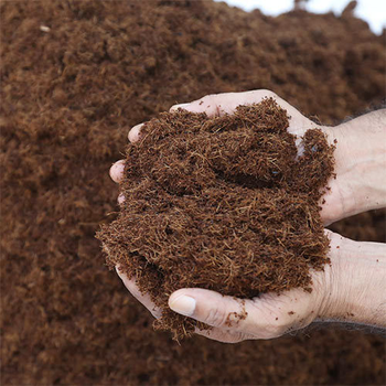 Best Sale! Coco Peat Block Eco-Friendly Natural Brown 5.5% PH - Njang Investments Limited - Kenya