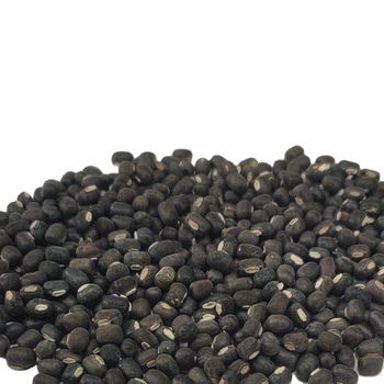 Vigna Beans Black Urad Dal from Hebei Nihewan Agricultural Development Co., Ltd. Vigna Beans Black Urad Dal - Hebei Nihewan Agricultural Development Co., Ltd. - China