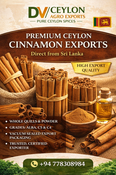 Ceylon Cinnamon Sticks from DV Ceylon Agro Exports Ceylon Cinnamon Sticks - DV Ceylon Agro Exports - Sri Lanka