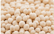 White pea beans – product photo, Dried White Beans products found from trusted suppliers, wholesalers, manufacturers & exporters Listing