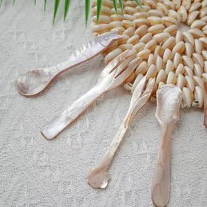 Elegant Natural Crafts Polished Shells Cutlery Set for Desserts - Feiya Group Co., Limited - China