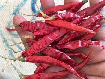 Natural Food Grade Dried Red Chilies Factory Herb Spice Seasoning Ingredients in Stick Pattern Raw Processi from TRADECENTRIC LLC Natural Food Grade Dried Red Chilies Factory Herb Spice Seasoning Ingredients in Stick Pattern Raw Processi - TRADECENTRIC LLC - United States