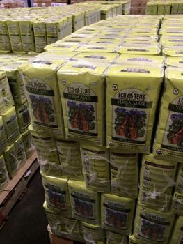 Yerba Mate Tea - BF GLOBAL TRADING (PTY) LTD - South Africa