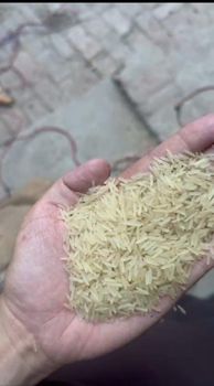 White sella rice - I'M global sourcing - Pakistan