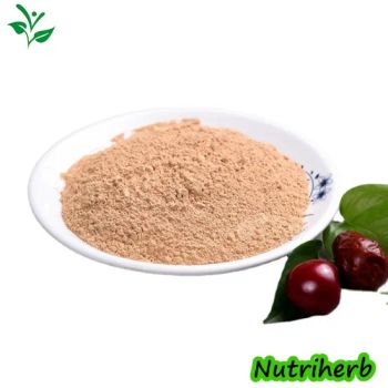 Nutriherb Jujube Powder 1kg Bag 25kg Drum ISO COA 0234 Origin China State Powder Model NO. 0234 Color Brow Yellow Appearance Powder - Nanjing NutriHerb BioTech Co., Ltd. - China