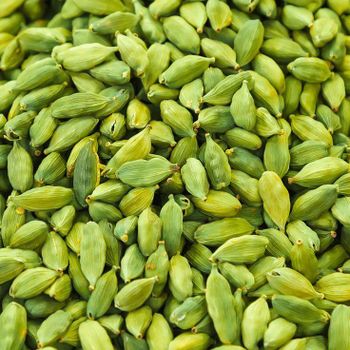 Green Cardamom – product photo, Green Cardamom Spice products found from trusted suppliers, wholesalers, manufacturers & exporters Listing