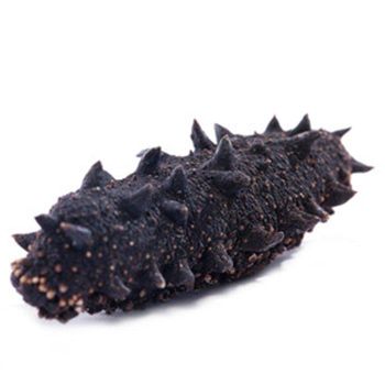 Dried Sea Cucumber - ventures - Canada