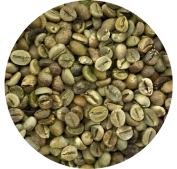 Robusta Green Coffee Beans Grade 1 Screen 18 Moisture 12.5 Percent 60kg Jute Bags Bulk Export - KAFAIN CONSULTANCY LTD - United Kingdom