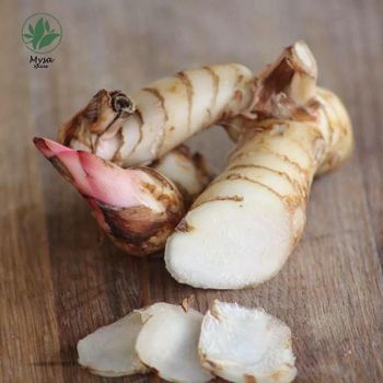 GALANGAL ROOT Flavor Spicy Form Black, Coffee Beans, Dried And Farm Fresh, Dry, Fresh, Ginger, Green, Nutmeg, - Mysa Spices - India