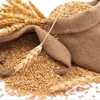 Wholesale Organic White Natural Wheat Flour All Purpose High Nutrition Wheat Flour Available at Affordable Price - JMB  - Canada
