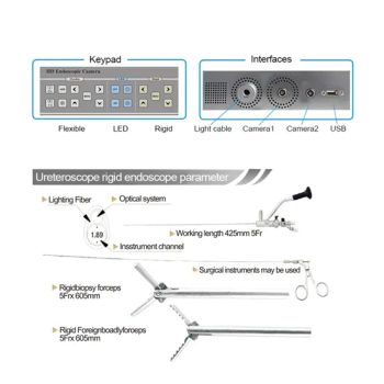 Medical Diagnosis Endoscopes Integrated with Cold Light Source Endoscoope - Xuzhou Hengjia Electronic Technology Co., Ltd. - China