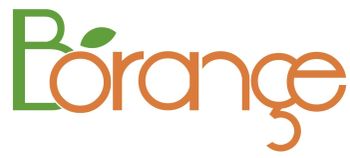 Product - Shenzhen Borange Technology Co., Ltd. - China
