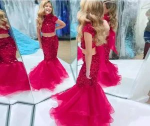 Mermaid Girls Party Cocktail Dresses Organza Short Sleeves Evening Dress Lb1634 - Suzhou Leader Apparel Co., Ltd. - China