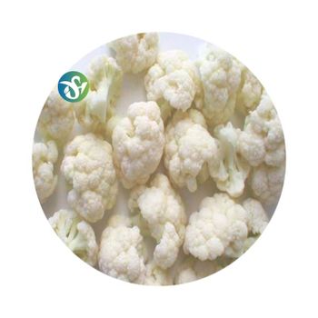 IQF Frozen Cauliflower Quick Frozen Cauliflower High Quality Frozen Vegetables - Qingdao Yihui Foods Co., Ltd. - China