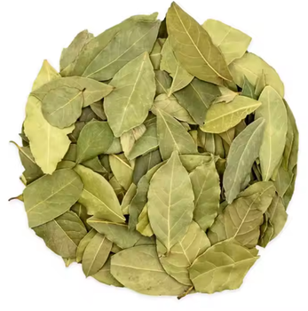 Natural Organic Dried Bay Leaves Packaging 10 KG Color Deep Green Purity 100% Natural Harvesting Method Handpicked Origin Organically Cultivated - PT DWI INTI PUTRA - Indonesia