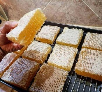 Best Price Wholesale Pure Raw Natural Honey From Bee, Best Honey - BF GLOBAL TRADING (PTY) LTD - South Africa