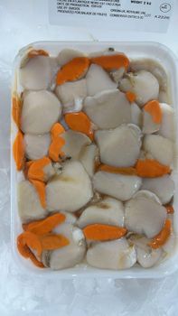 BEST SEAFOOD ROE-OFF SCALLOP MEAT(PECTINIDAE SEA FROZEN) A PREMIUM CHOICE FOR FINE DINING 10KG IQF PACKED FOR SALE - Sosa Merchant Solutions - Austria