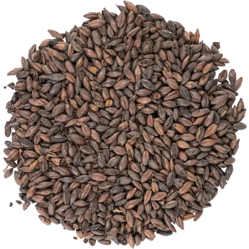 Organic Malted Barley Natural Grain for Brewing Beer Food Processing Affordable Bulk Wholesale Packages - A.C.P. AGRICULTURE COMPANY LIMITED - Thailand