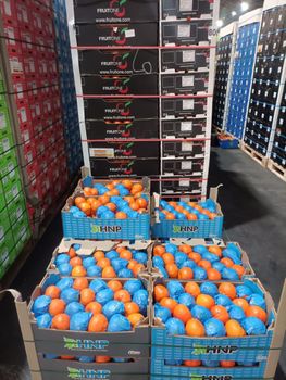 VALENCIA ORANGES Packaging 15kg Box Origin South Africa Quality Grade First Grade Minimum Order Quantity 1200 Boxes Storage Temperature -18°c Or - KAI RESOURCE GROUP - South Africa