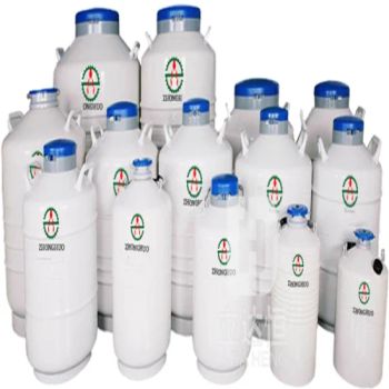 Liquid Nitrogen Tank 30L Liquid Nitrogen Gas Cylinder for Transport - LDH GAS SYSTEMS COMPANY LIMITED - China