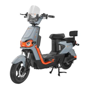 High-Performance Cargo Bike for Adults with Modern Electric Features - Shandong Fulong Electric Vehicle Co., Ltd. - China