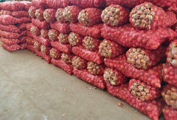 Supplying Egyptian seasonal fruits and vegetables Type Normal Shelf Life 6 months Packaging Aseptic Bags, Standard Variety All The Year, April Till July, August Till October, Barhi, July Till March, June Till November, May Till September, Navel - Balaady – Valencia, November Till January, September - Sma Arabia for international trading - Egypt