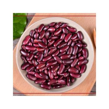 Organic red beans produced without chemicals or artificial additives Dried red beans with long shelf life and easy storage Bulk red beans supply for wholesalers supermarkets and food industries Red beans rich in protein fiber and essential nutrients for healthy diet - SATTER FOOD AND BEVERAGE - Netherlands