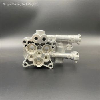 Mould Design Precise Aluminium Die Casting Parts with Burring for Cleaning Machine Pump - Ningbo Easting Tech Co., Ltd. - China