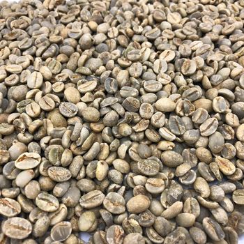 High Quality Robusta Coffee Offered With Sun Dried Processing And Strong Aroma For Global Wholesale Importers - malter group - Tanzania