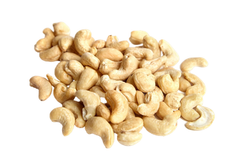 Cashew Nut Kernels W320 – Export Grade – 22 kg Vacuum-Packed Cartons