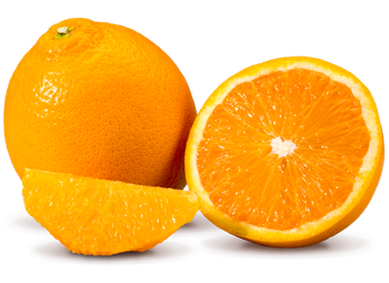 Premium Quality South African Citrus available Organic Yes Origin South Africa Variety Blood Orange, Clementine, Grapefruit, Lemon, Lime, Mandarin, Marsh, Midknight, Navel, Orange, Star Ruby, Valencia - NINE FRUITS EXPORTS (PTY) LTD - South Africa