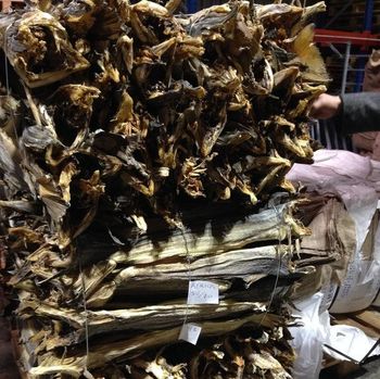 Norway Dry Stockfish for Sale / Dried StockFish / Frozen Stock Fish - PK Luxuries  - United States