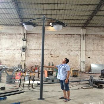 Aluminum LED Lamp Pole Decorative Garden Lamp - Yangzhou Dingxin Photoelectric Technology Co., Ltd. - China