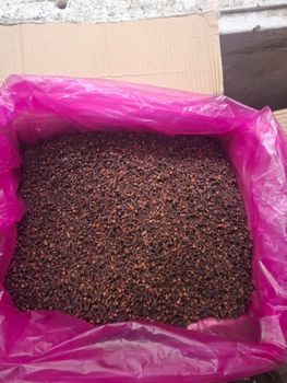 Clove, cardamom turmeric - Dev International ( WP +91 8160346317 ) - India