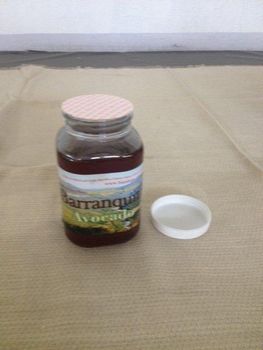 Mexico Natural Bee Honey - piel Alpha SA de CV - Mexico