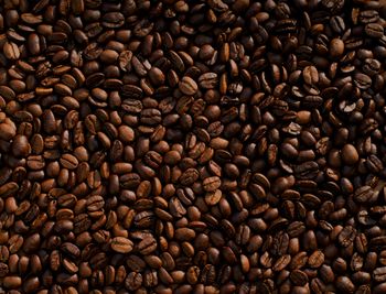 Robusta Coffee - Medicoco - Indonesia