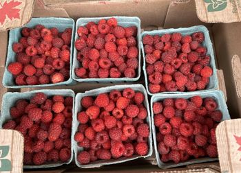 Fresh Strawberry Ph 3.2–3.6 Tss 9–12 °brix Texture Firm, Not Mushy Moisture Content ~85–90% Taste Sweet-tart, Aromatic Product Location South - BF GLOBAL TRADING (PTY) LTD - South Africa