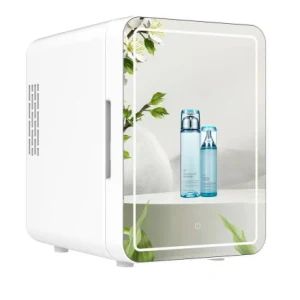 4L/6L Small Cooler Box Cosmetic Beauty Skin Care Makeup 12V Car Refrigerator Mini Skincare Fridge with Mirror - Hangzhou Tonny Electric & Tools Co., Ltd. - China