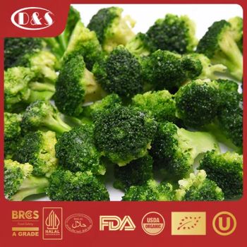 IQF Frozen Broccoli with High Quality GMO Free Crop 2023 Balanced No Kind Frozen Color Green Origin China Model NO. IQF HS Code - QINGDAO DEESHENGHENGXIN FOOD CO., LTD. - China