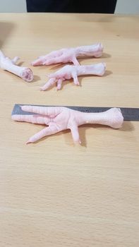 Fresh Chicken Wings and Feet and Paws – product photo, Fresh Halal Chicken products found from trusted suppliers, wholesalers, manufacturers & exporters Listing